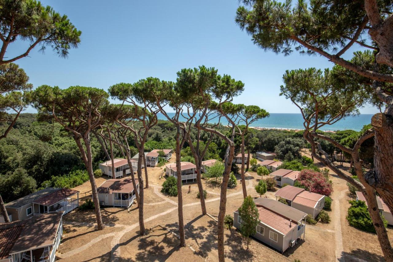 Parco Della Gallinara Lido dei Pini Exteriér fotografie